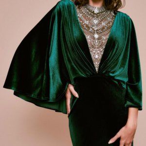 Tadashi Shoji Panit Velvet Gown (size s)